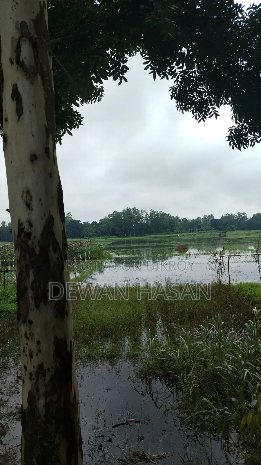 ১০ শতাংশ জায়গা বিক্রি হবে।