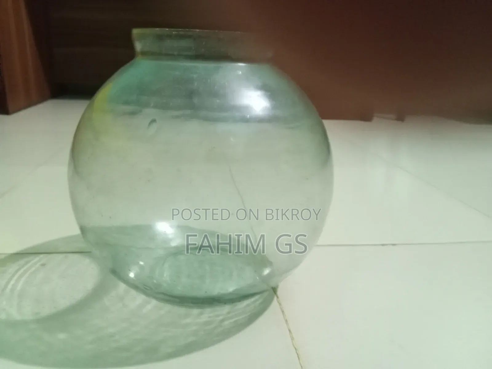 Fish Aquarium
