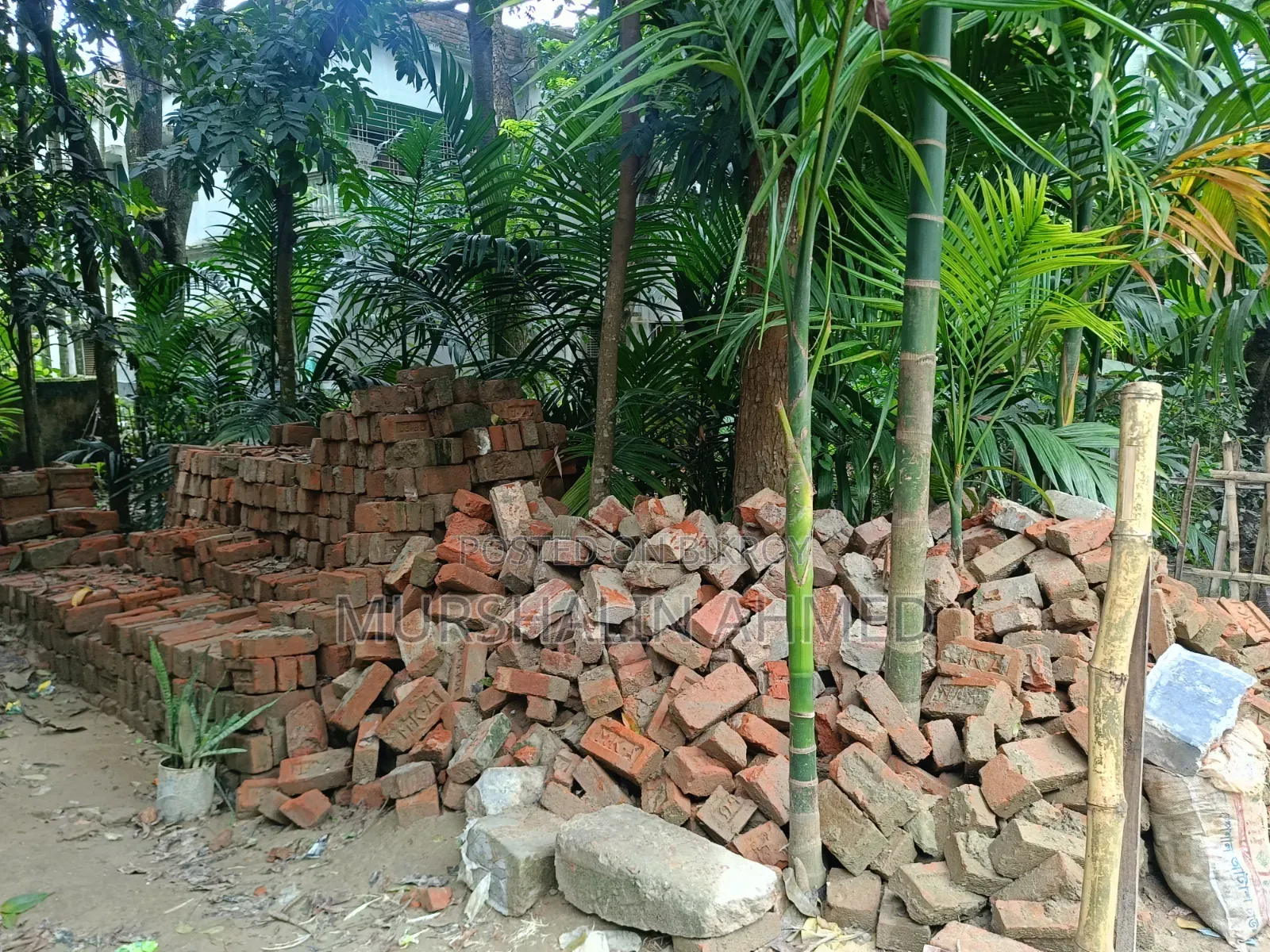 All these bricks from our old house are for sale