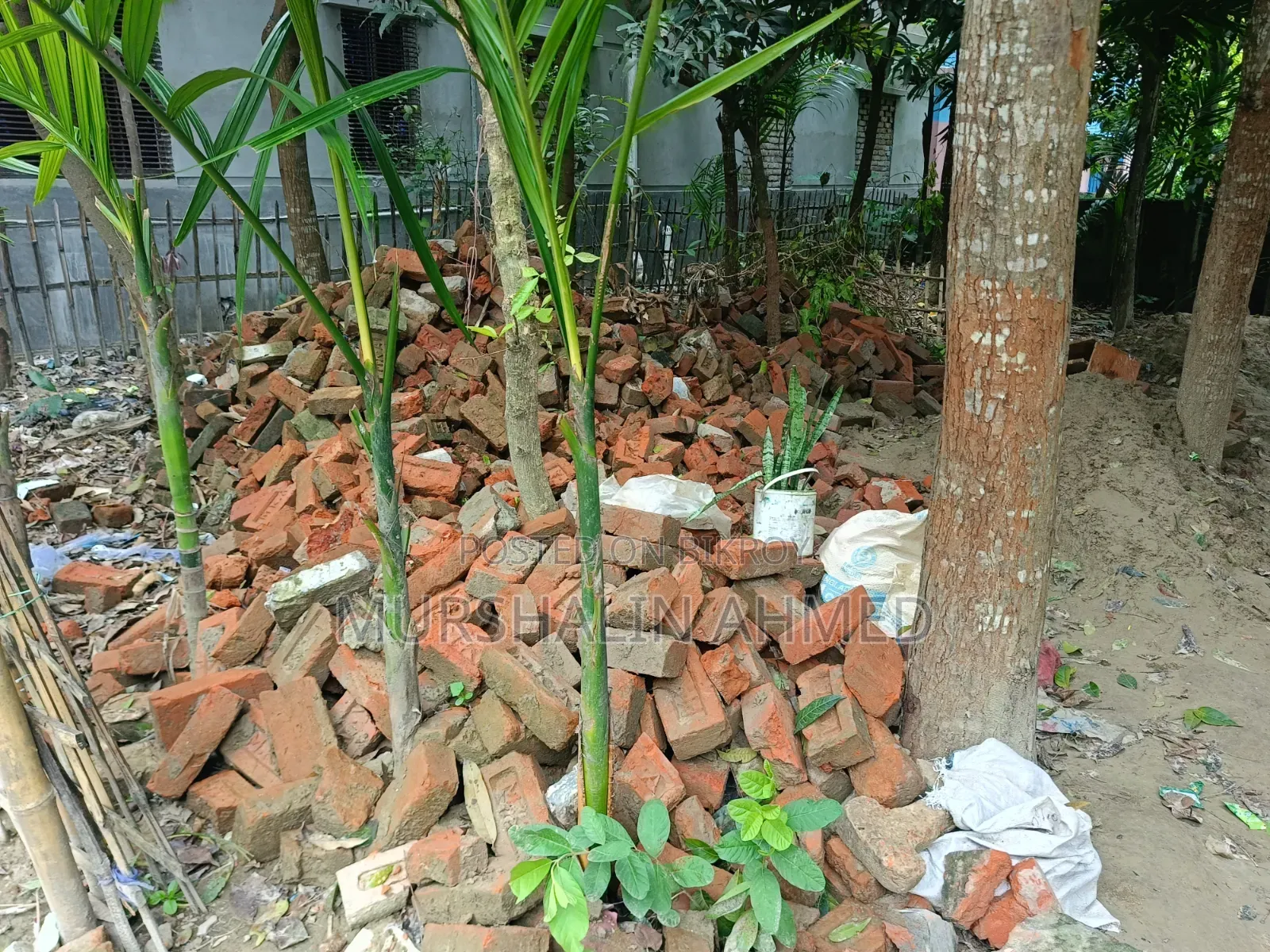 All these bricks from our old house are for sale