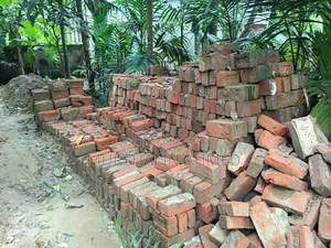 All these bricks from our old house are for sale
