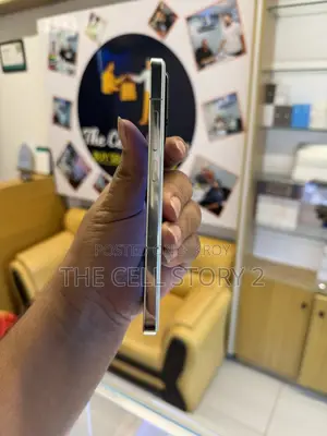 শাওমি ১৩ ২৫৬ জিবি সবুজ