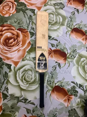 Hs Vision 8000 Cricket Bat