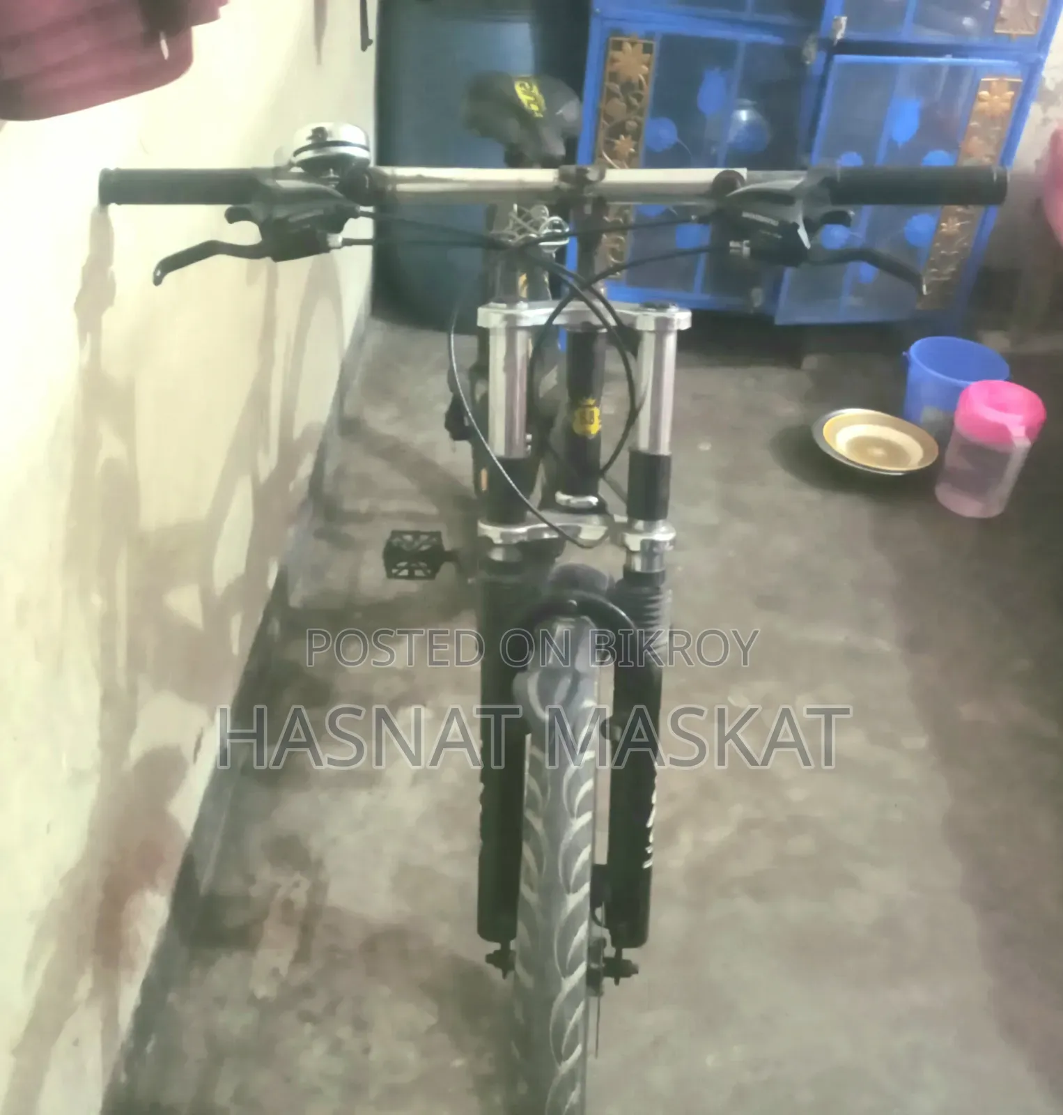 My beloved bicycle