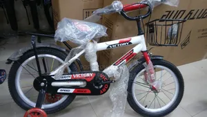 Bicycle for sale