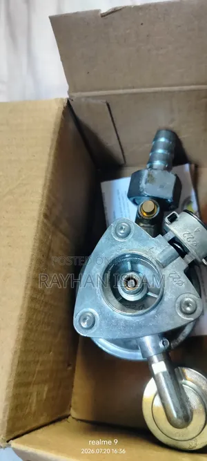 Gas Auto Regulator