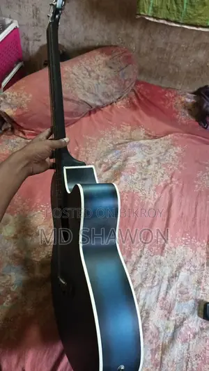 Aquastic Signature Brand New Guitar
