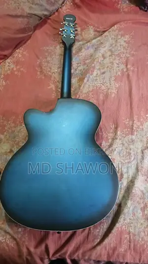 Aquastic Signature Brand New Guitar