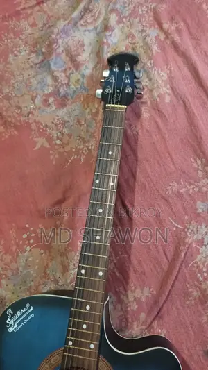 Aquastic Signature Brand New Guitar