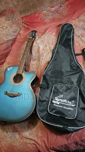 Aquastic Signature Brand New Guitar