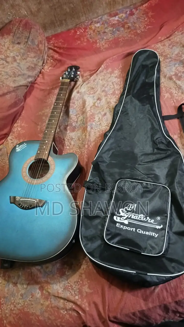 Aquastic Signature Brand New Guitar