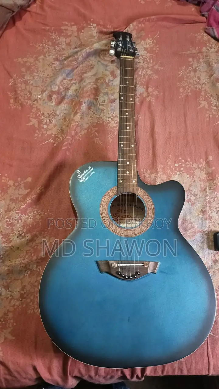 Aquastic Signature Brand New Guitar