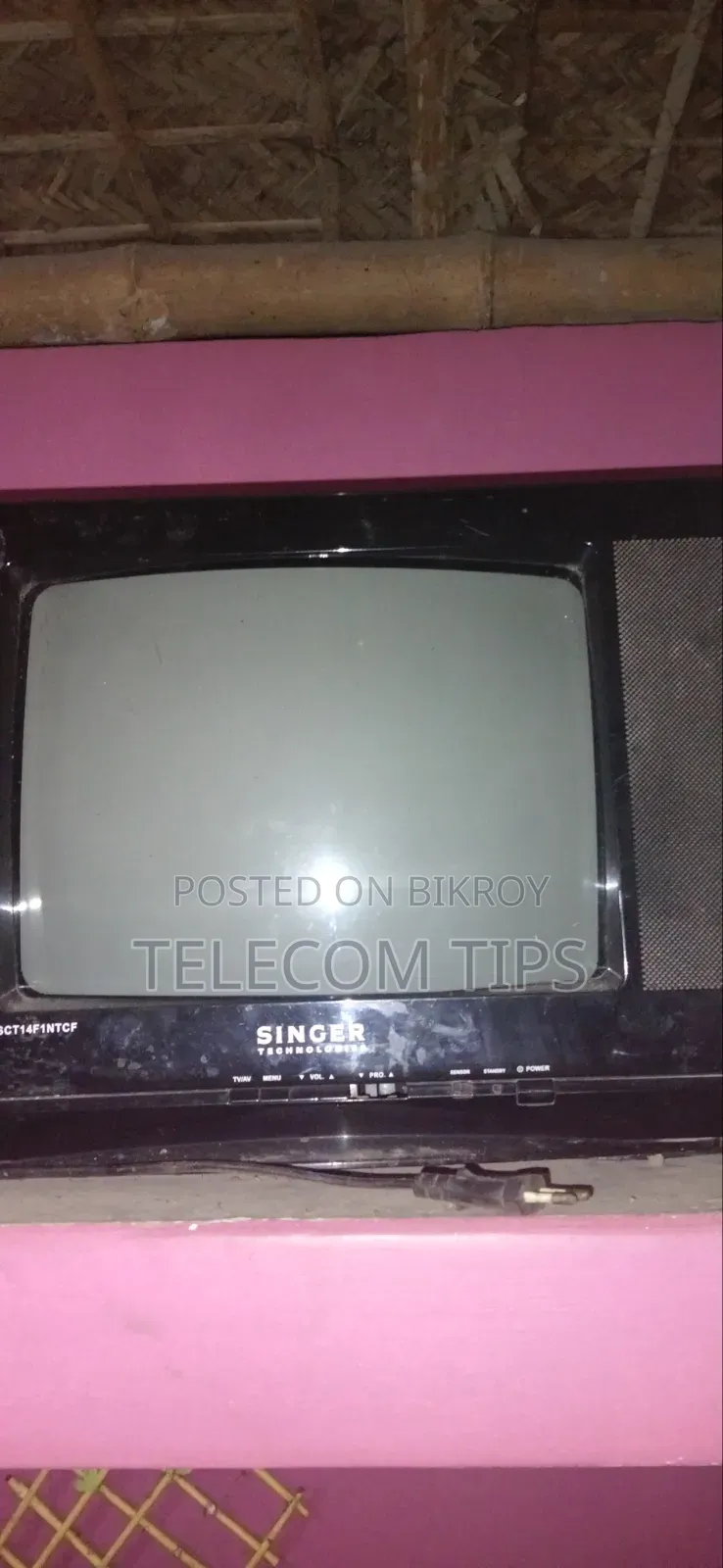 14" Singer TV