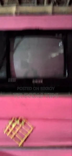 14" Singer TV