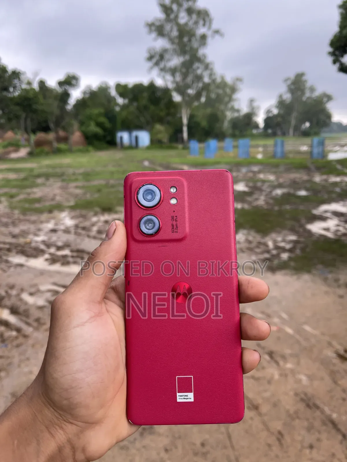 Motorola Edge 40 Neo 256 GB Red