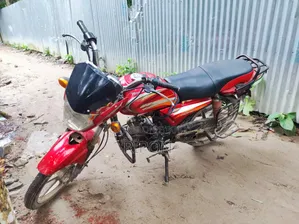 Roadmaster Delight 2022 Red