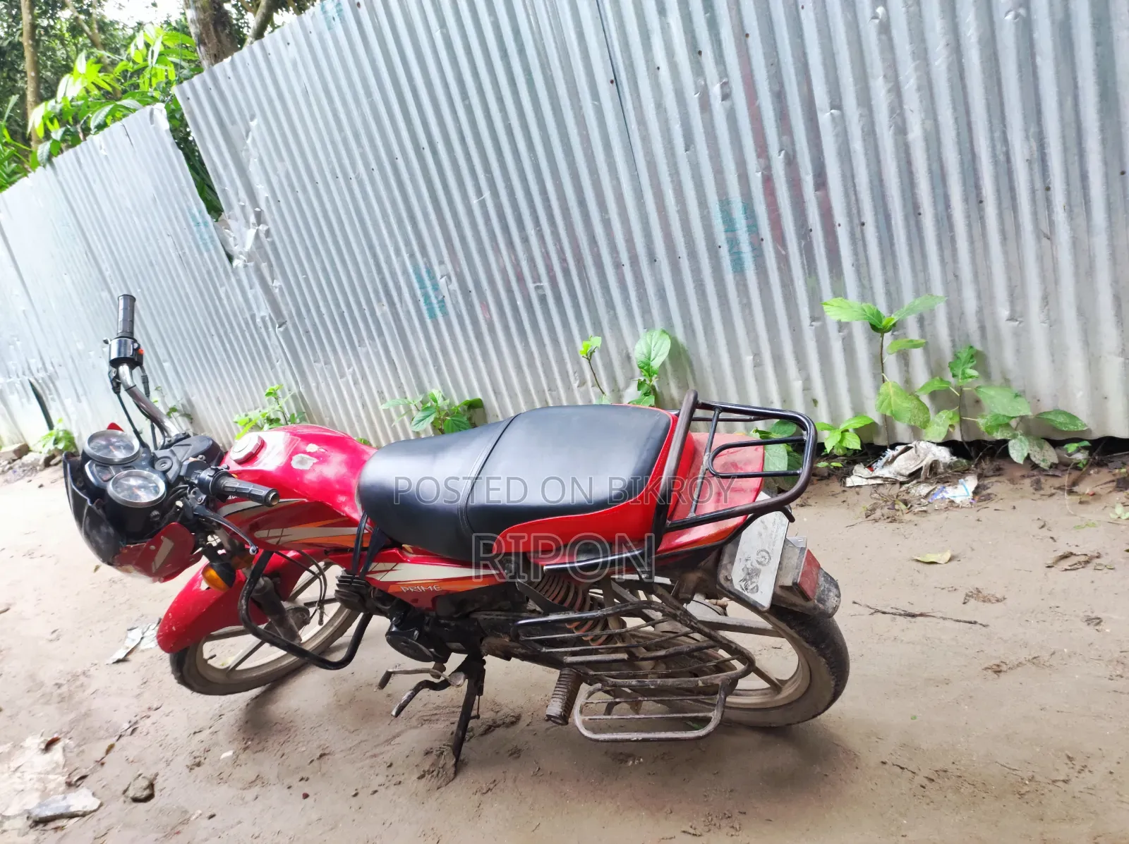 Roadmaster Delight 2022 Red