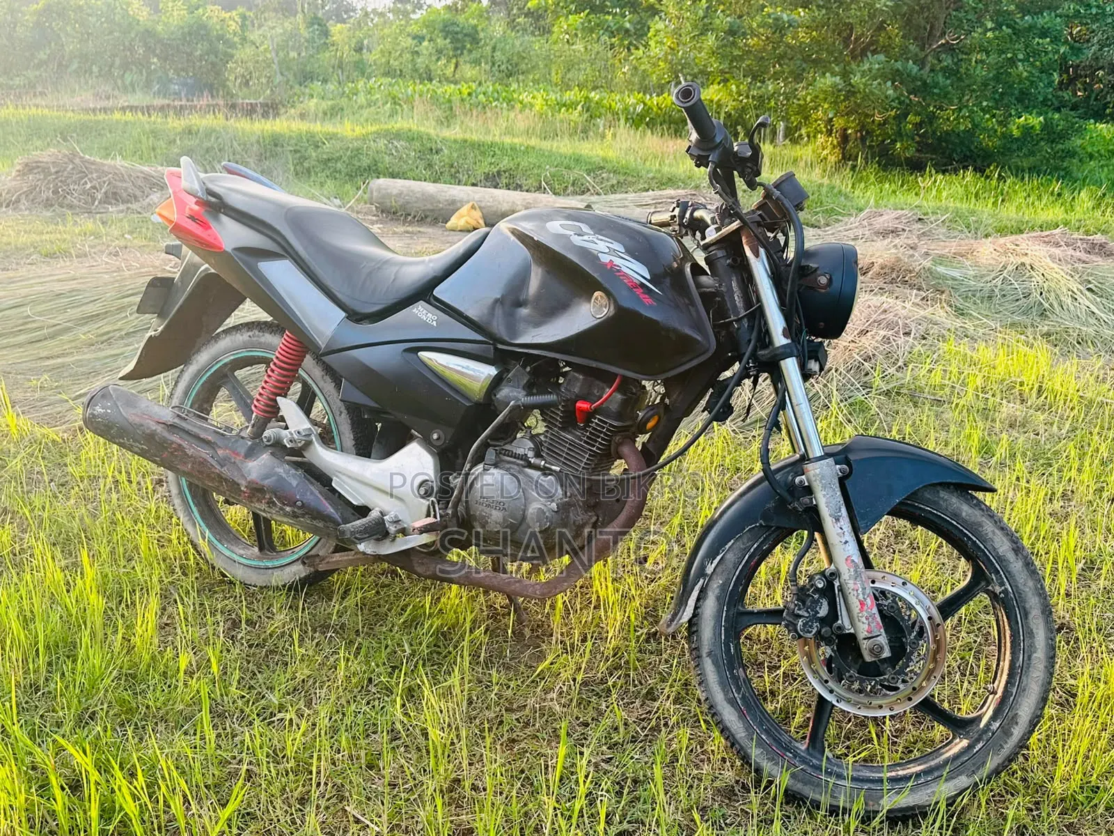 New Honda CB 2008 Black