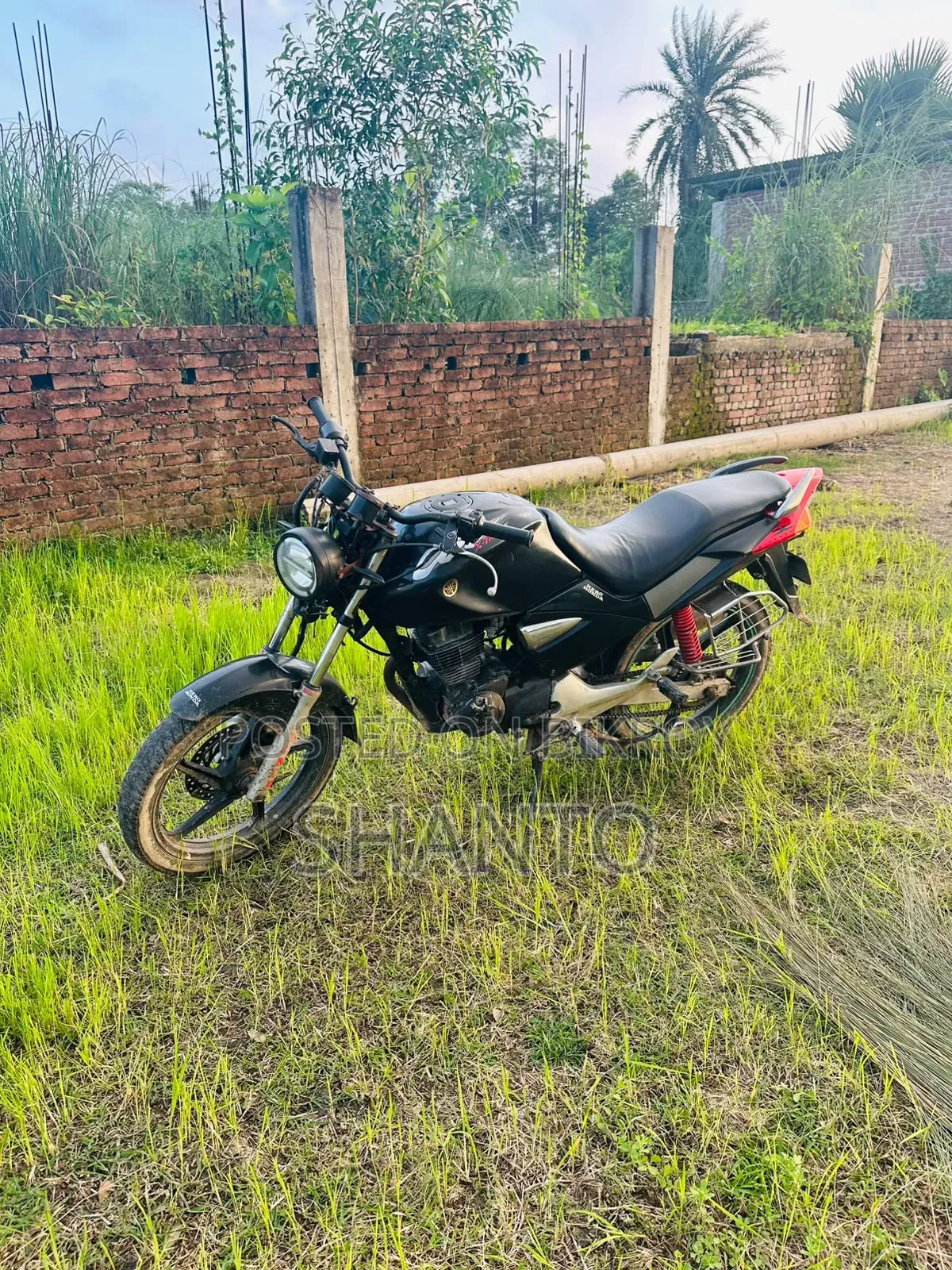 New Honda CB 2008 Black