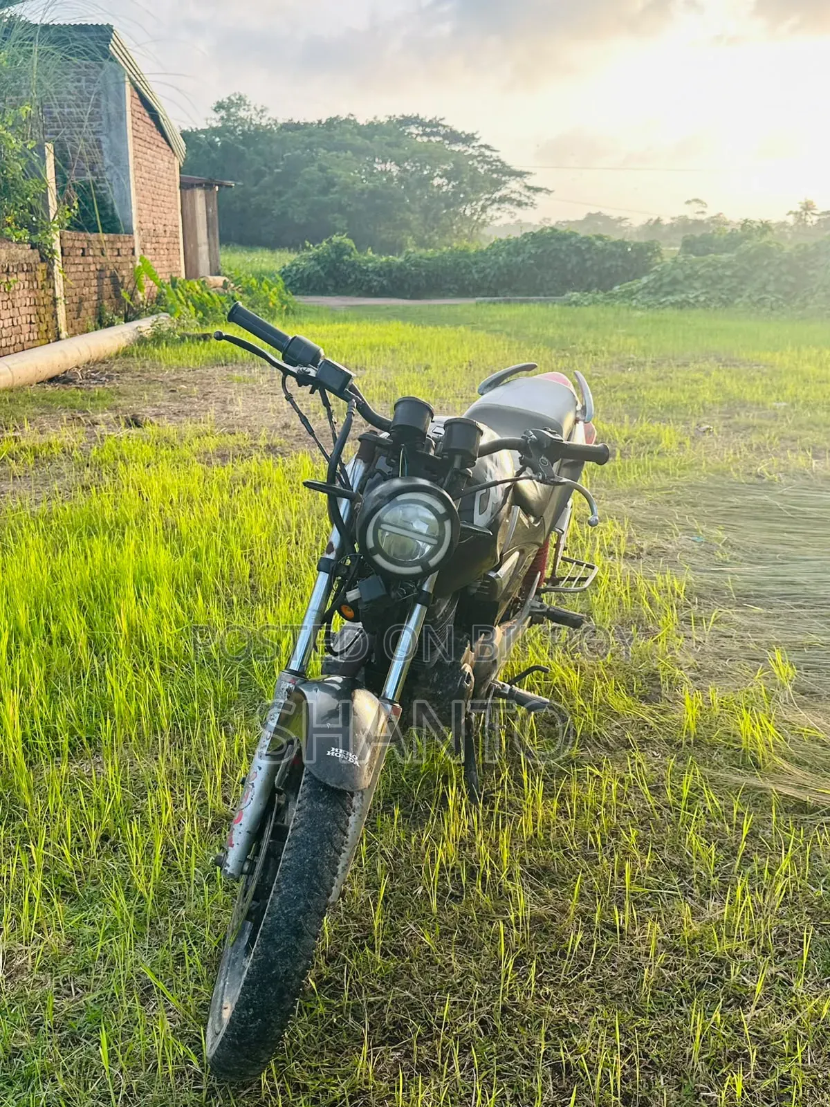 New Honda CB 2008 Black