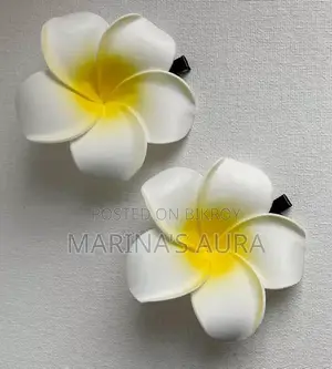 সাদা কাঠগোলাপ।