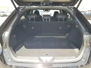 Toyota Harrier 2023 Black