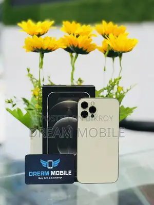 Apple iPhone 12 Pro ২৫৬ জিবি