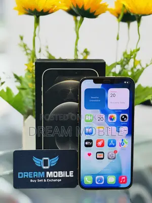 Apple iPhone 12 Pro ২৫৬ জিবি