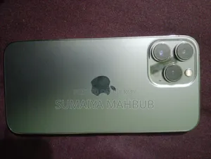 Apple iPhone 13 Pro Max 256 GB Gray