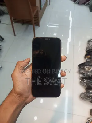 অ্যাপল আইফোন ১২ প্রো ম্যাক্স ২৫৬ জিবি গোল্ড