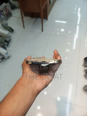 অ্যাপল আইফোন ১২ প্রো ম্যাক্স ২৫৬ জিবি গোল্ড