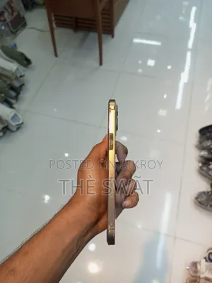 অ্যাপল আইফোন ১২ প্রো ম্যাক্স ২৫৬ জিবি গোল্ড