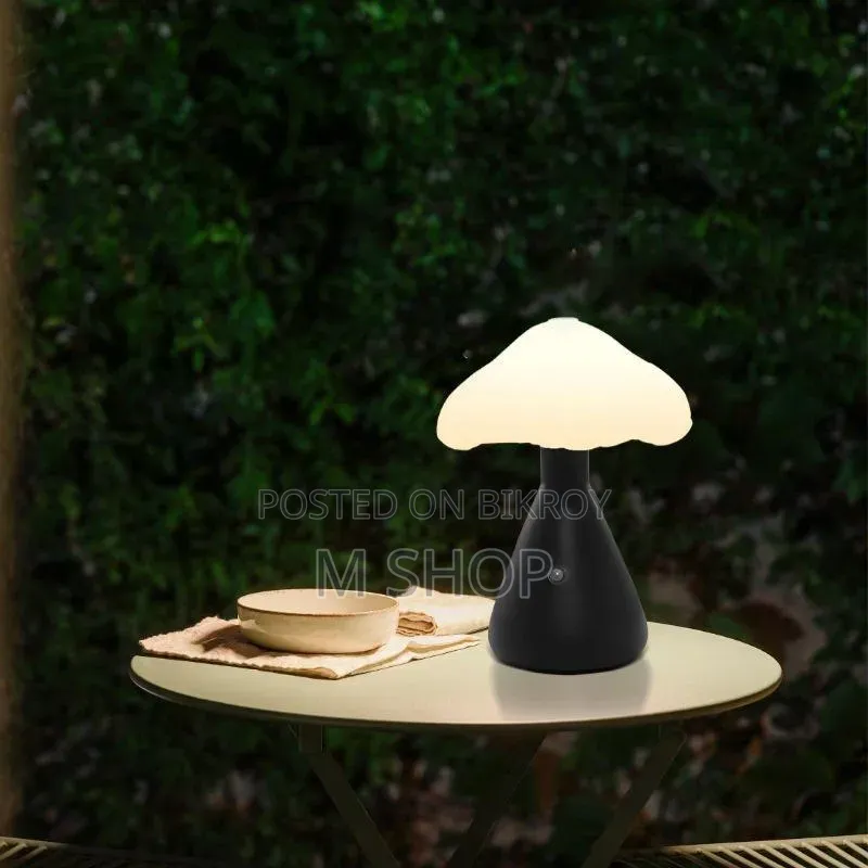 Premium lamp to multiply the elegance of your home