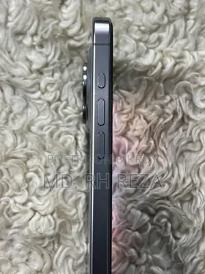 Apple iPhone 15 Pro Max 256 GB Silver