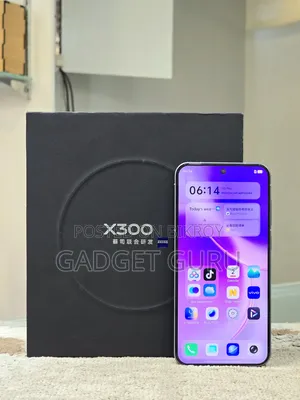 Vivo X300 512 GB Purple