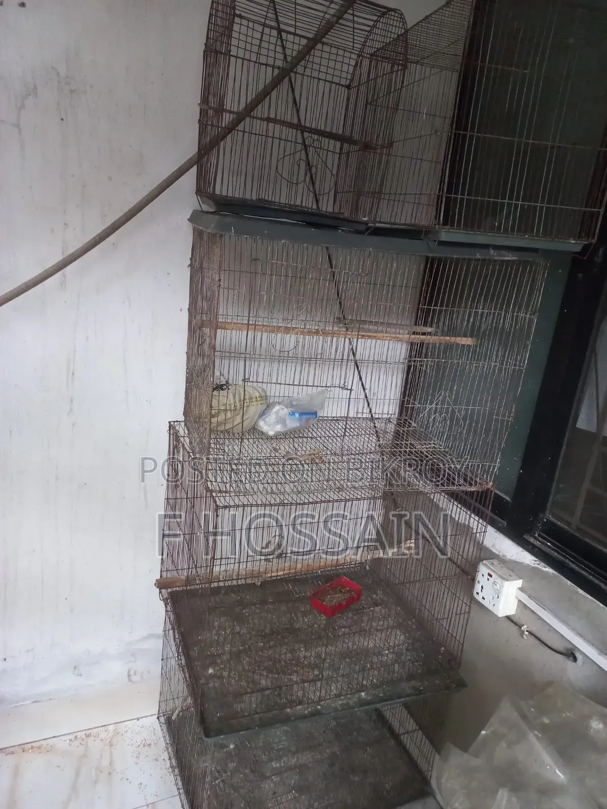 Cage