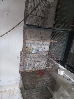Cage