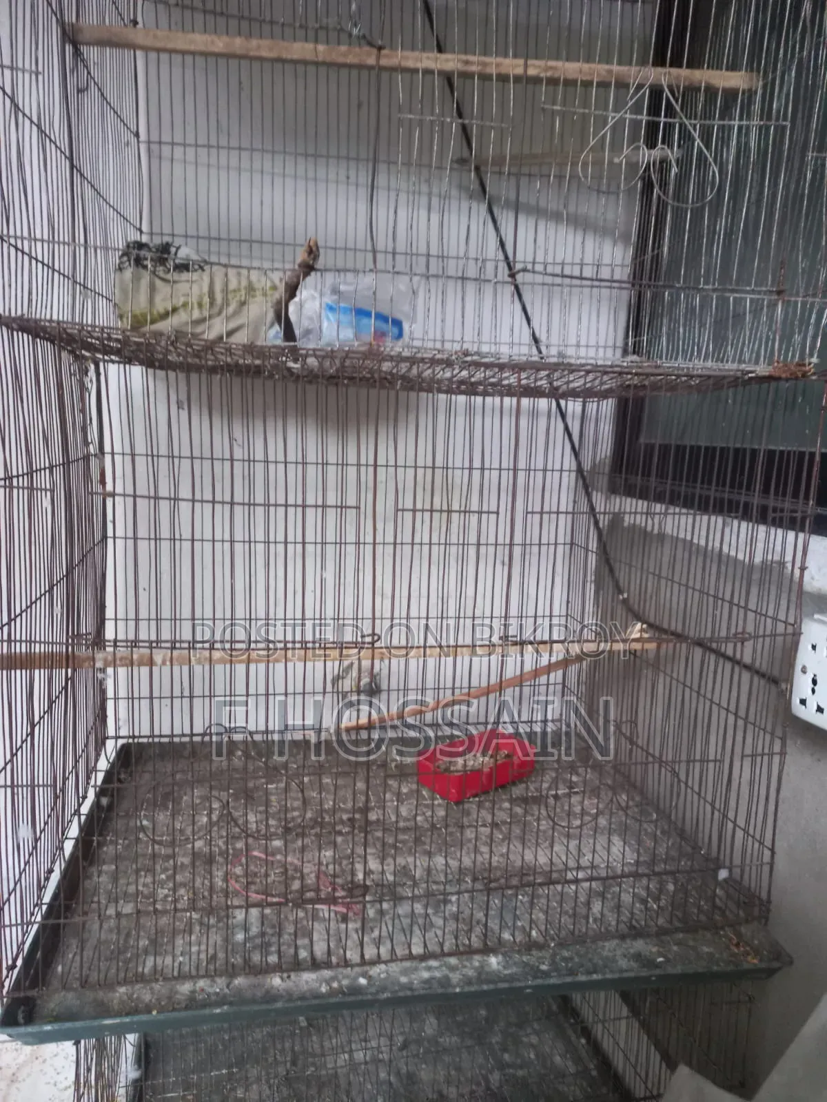 Cage