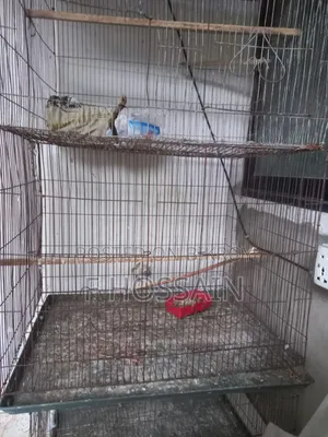 Cage