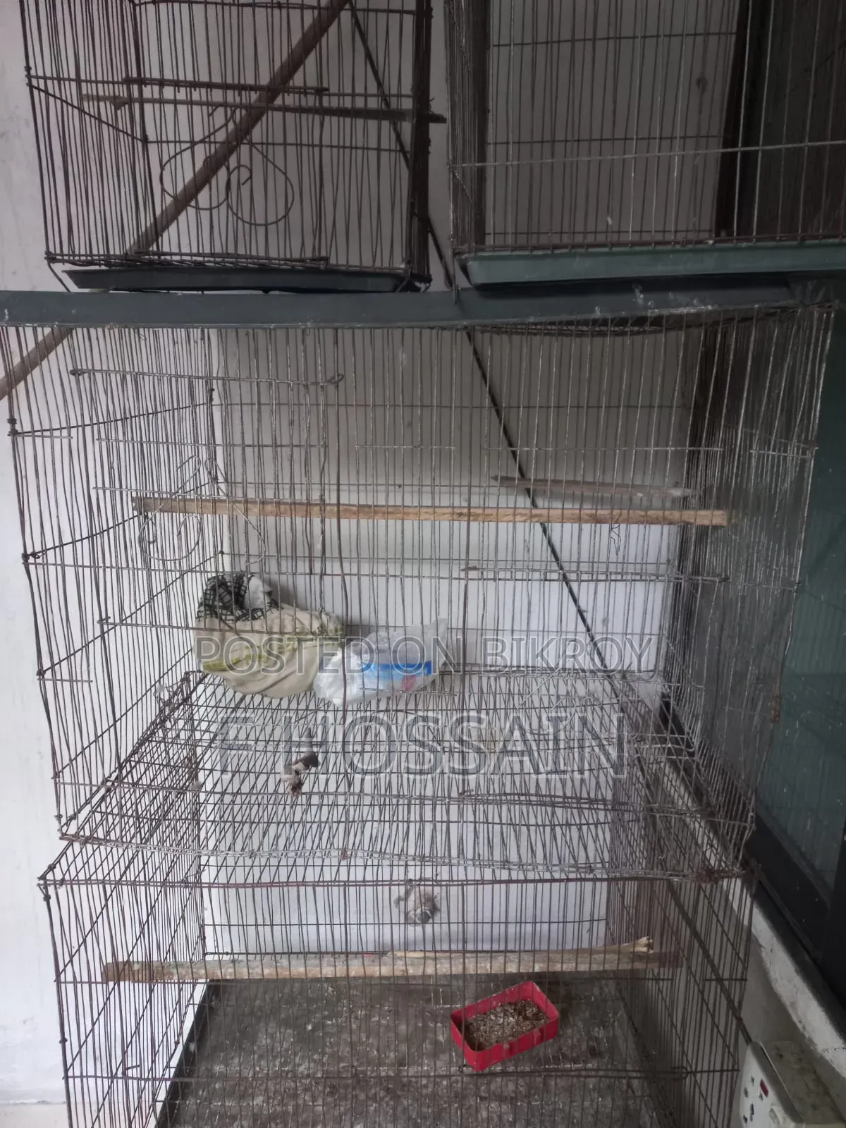 Cage