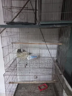 Cage