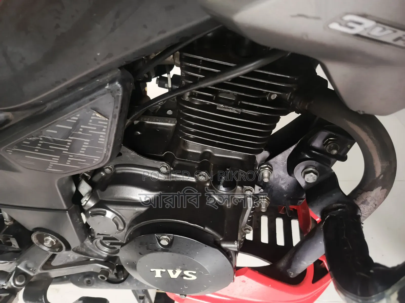 TVS Raider 125 2024 Red