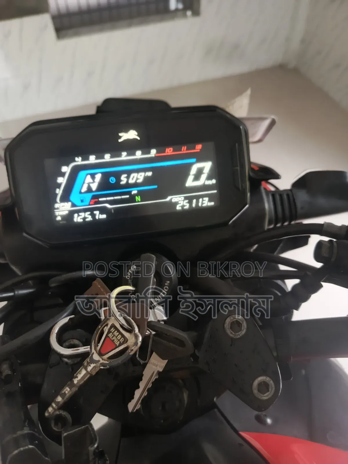 TVS Raider 125 2024 Red