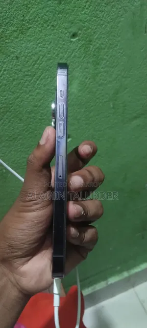 অ্যাপল আইফোন ১৪ প্রো ম্যাক্স ২৫৬ জিবি ব্লু