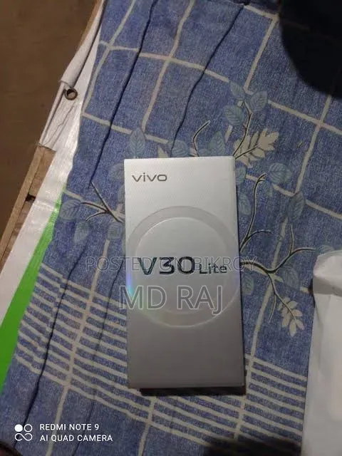 Vivo V30 Lite 4G 256 GB Gray