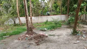 জমি বিক্রয় হবে: ৩.৫ শতাংশ (বসত ভিটা)