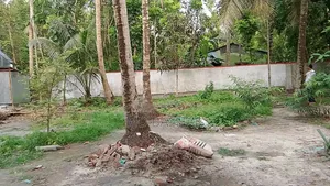 জমি বিক্রয় হবে: ৩.৫ শতাংশ (বসত ভিটা)