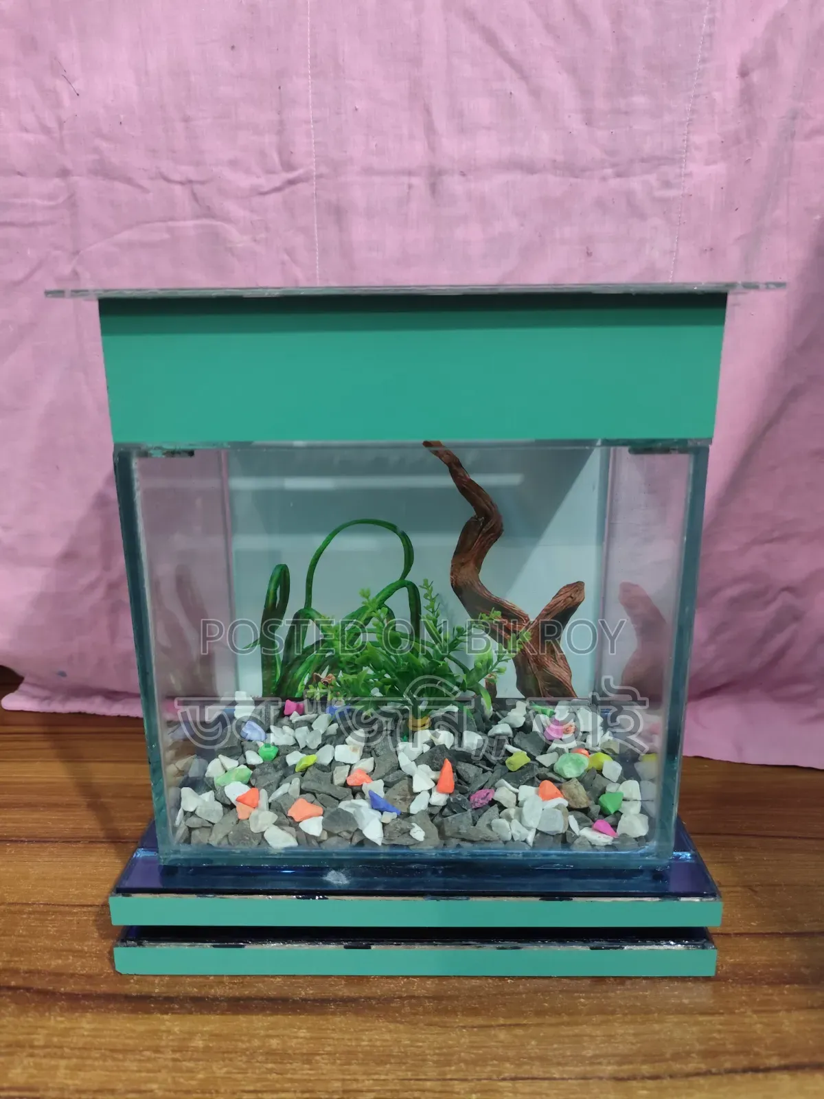 সব সহ ১০.৫ বাই ৬.৫ উচ্চতা ১১ ইঞ্চি একুরিয়াম