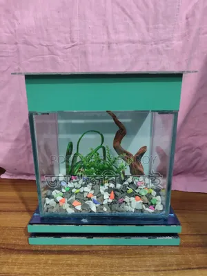 সব সহ ১০.৫ বাই ৬.৫ উচ্চতা ১১ ইঞ্চি একুরিয়াম