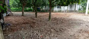 5 decimals of land will be sold.